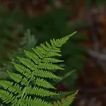 Un Espace Au Bord De L'eau 別荘 *
