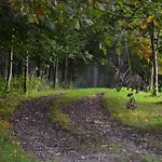 Un Espace Au Bord De L'eau * Paliseul
